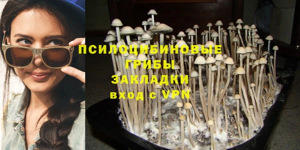 2c-b Вязники