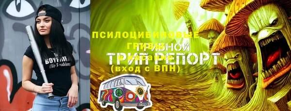 амф Вяземский