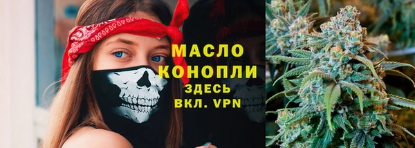 амф Вяземский