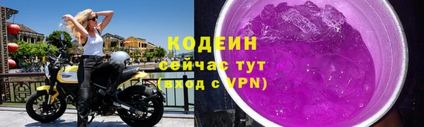 амф Вяземский